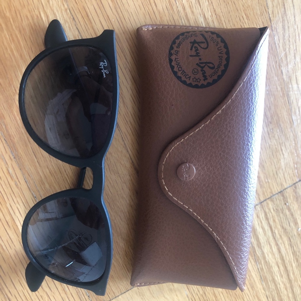 Ray-ban Erika Sunglasses
